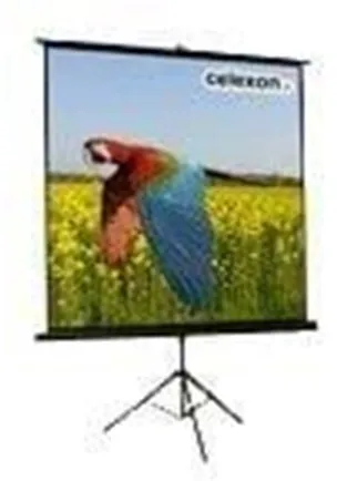Celexon Economy tripod screen